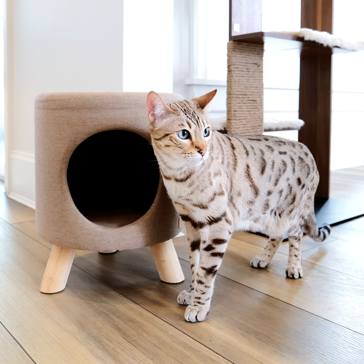 【4catsndogs】猫用隠れ家付き スツール Wallie