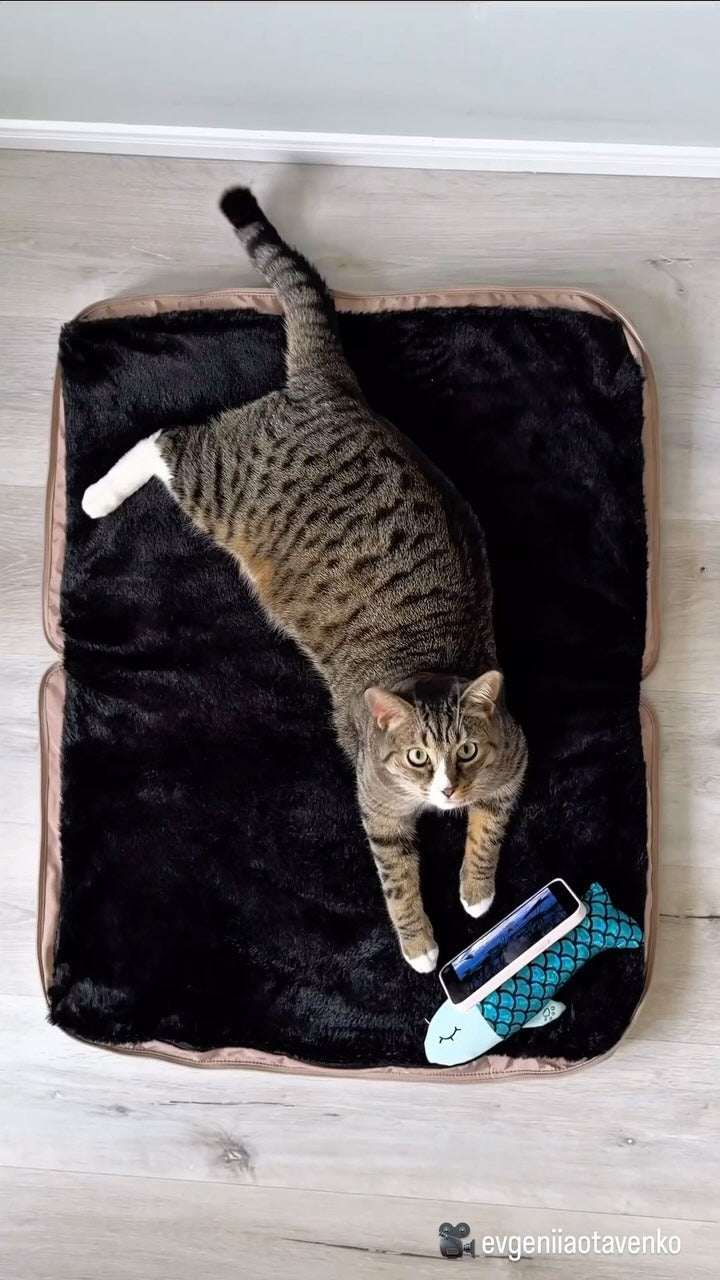 お出かけ先でも、いつもの心地よさを。 🐾