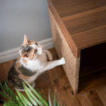 【4catsndogs】猫トイレ収納キャビネット （爪とぎ付き）JESSIE