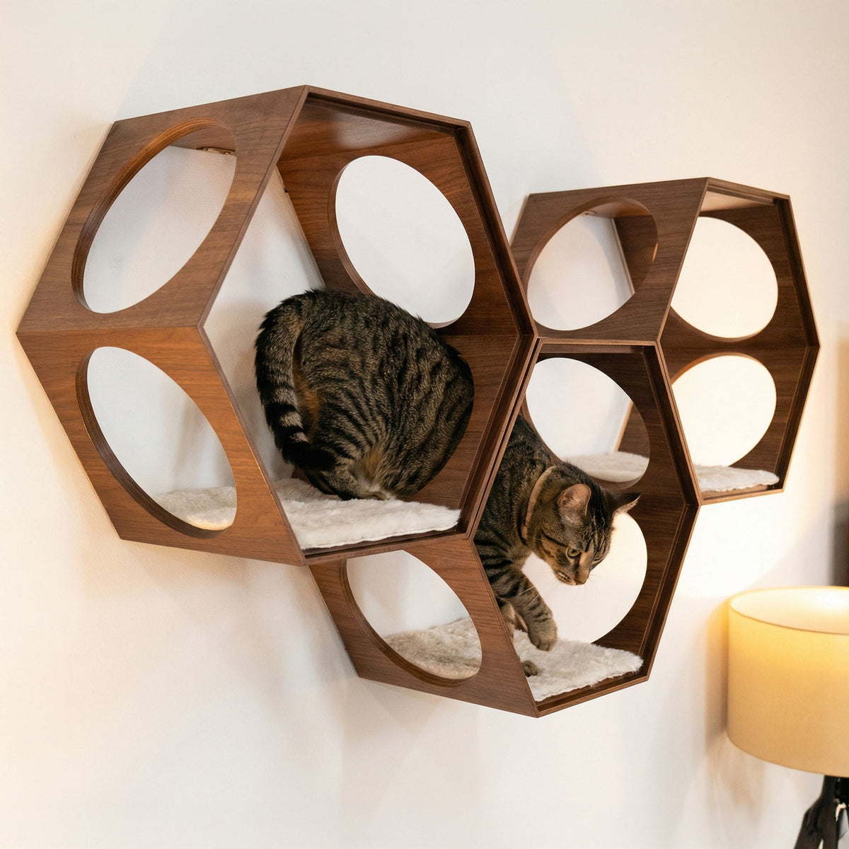 【4catsndogs】スツール シェルフ テーブル 一台3役 Suki